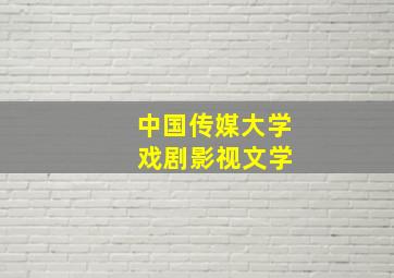 中国传媒大学 戏剧影视文学